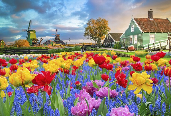 Niederlande – Radreise